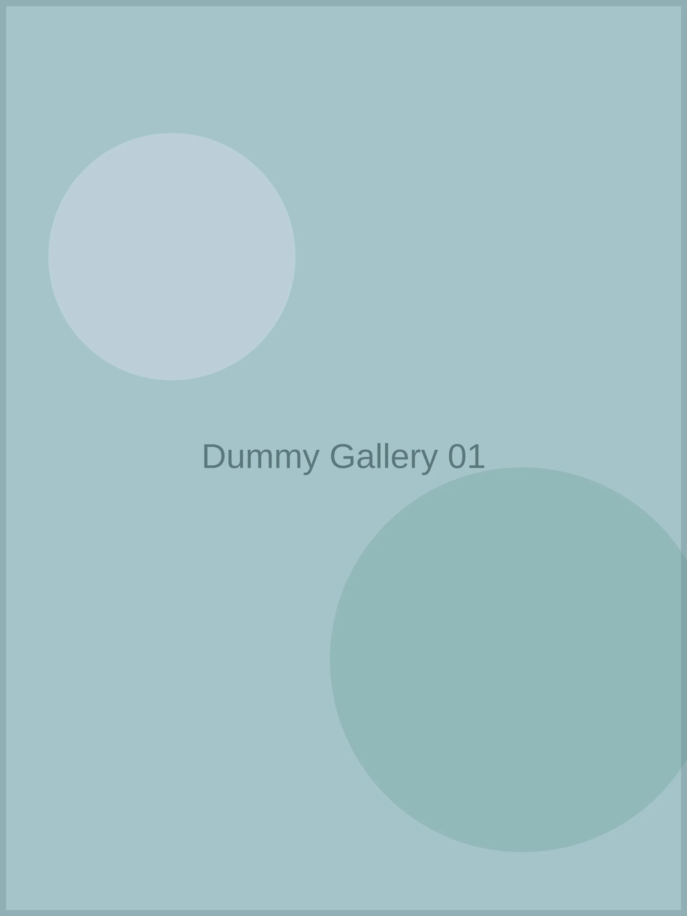 Dummy Gallery 01 generated test image